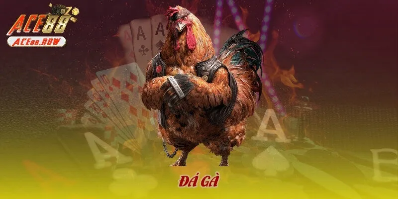Đá gà