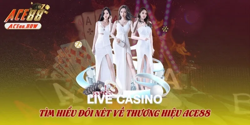 Tìm hiểu đôi nét về thương hiệu ACE88